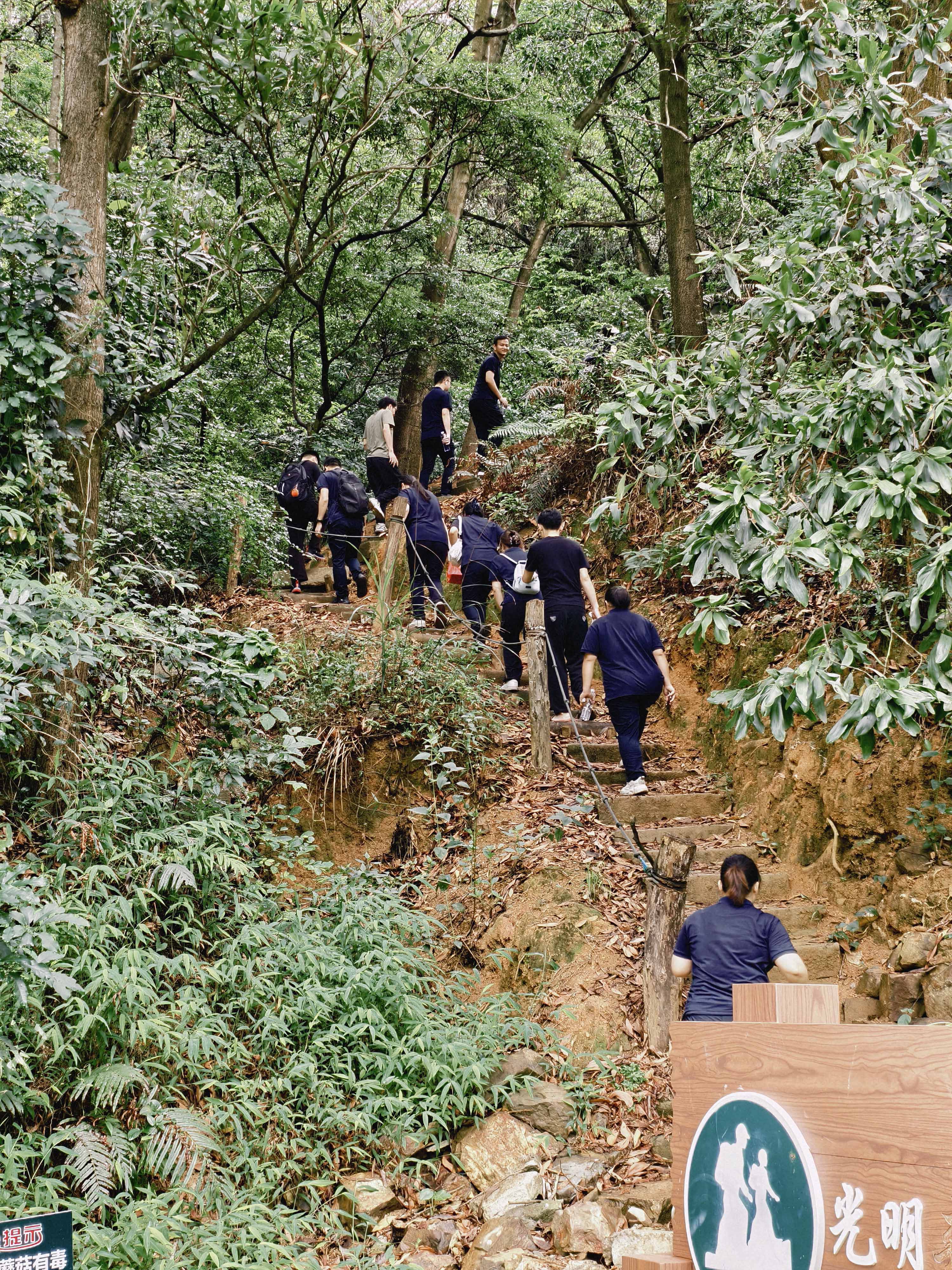 久信達科技公司員工齊聚光明區(qū)蠄蜍石，開啟活力爬山之旅暨團建活動(圖2)