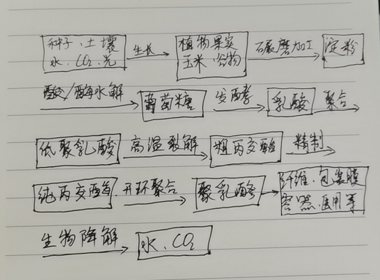 生物降解袋中的PLA是如何制得的？(圖1)