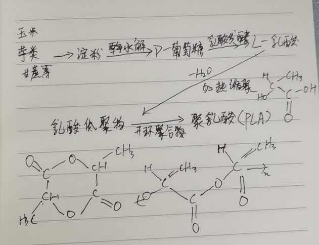 生物降解袋中的PLA是如何制得的？(圖2)